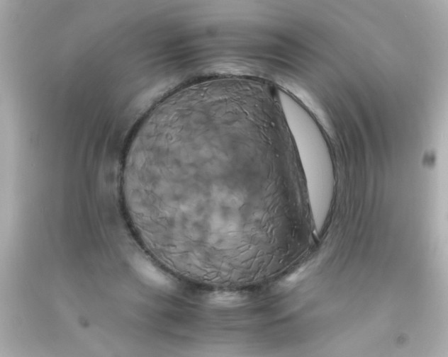 X0000091500445200709061925