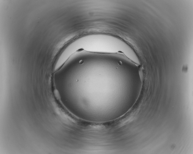 X0000091500446200709061925