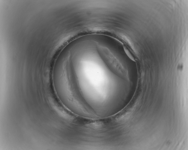 X0000091500447200709061925