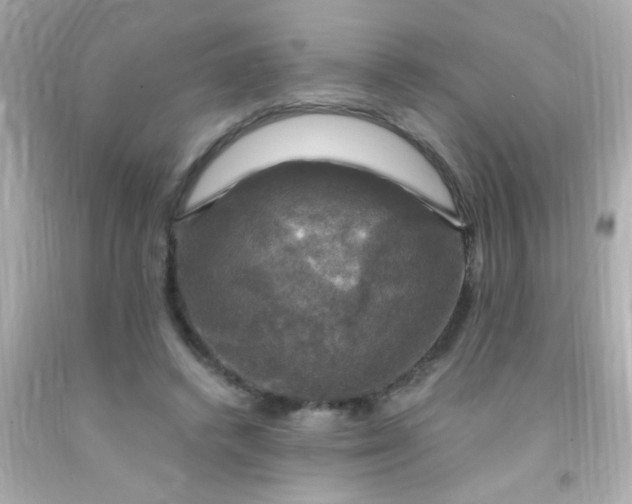 X0000091500448200709061925