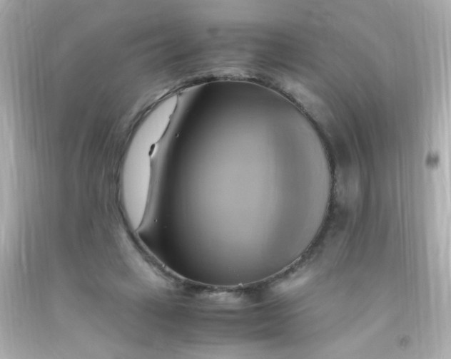 X0000091500449200709061925