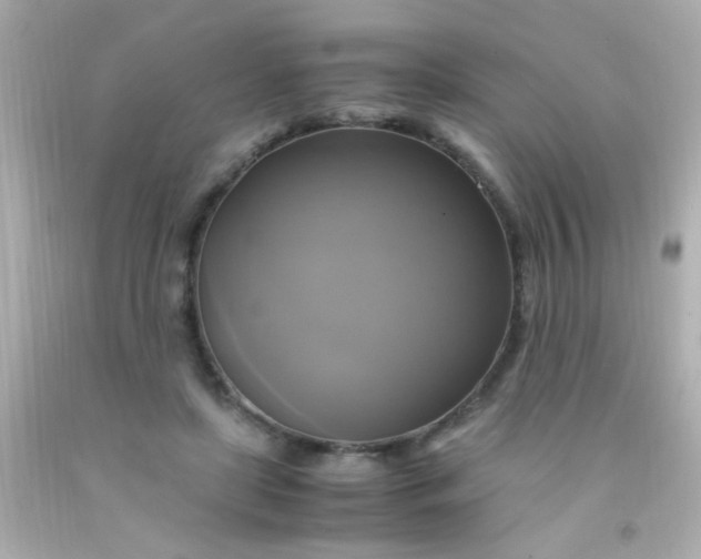 X0000091500451200709061925