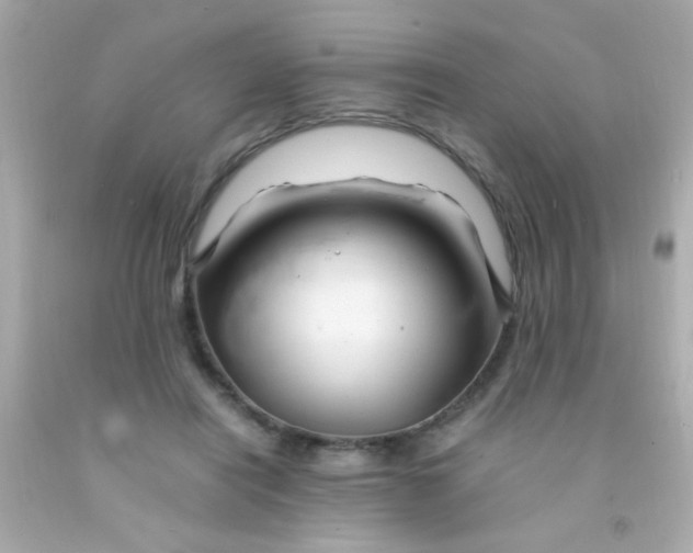 X0000091500454200709061925