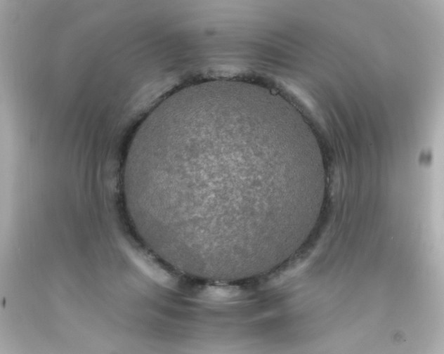 X0000091500455200709061925