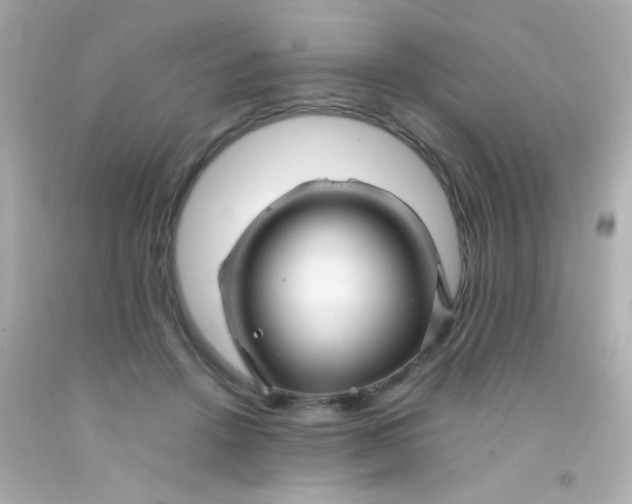 X0000091500456200709061926