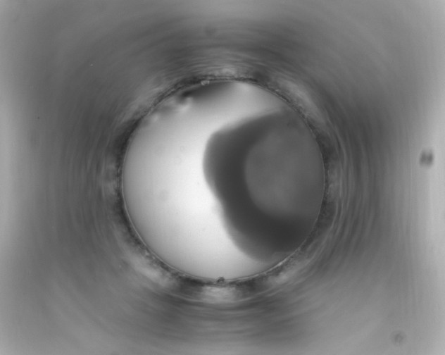 X0000091500457200709061926