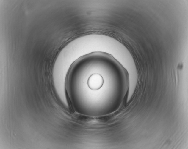 X0000091500460200709061926