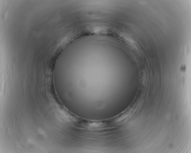 X0000091500461200709061926