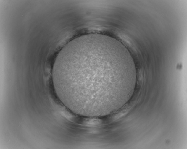 X0000091500463200709061926