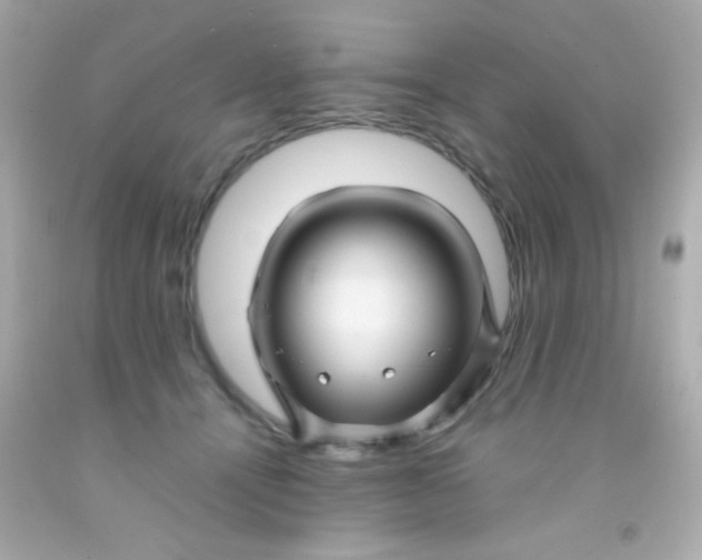 X0000091500464200709061926