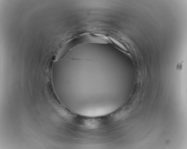 X0000091500465200709061926