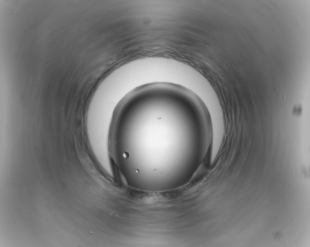 X0000091500468200709061926