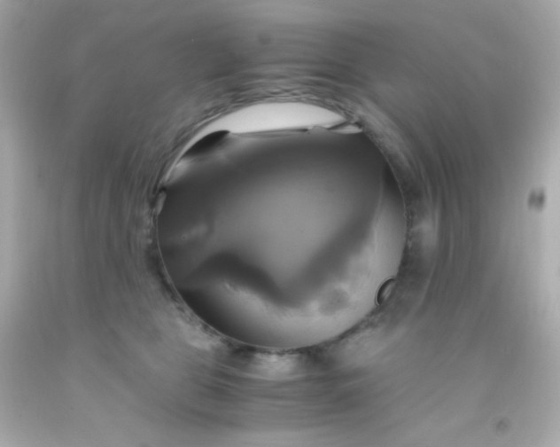 X0000091500469200709061926