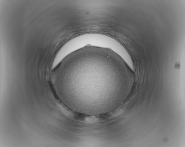 X0000091500470200709061926