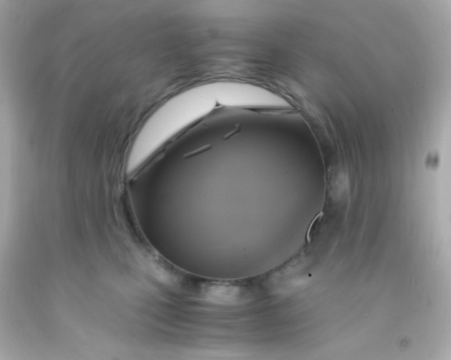 X0000091500471200709061926