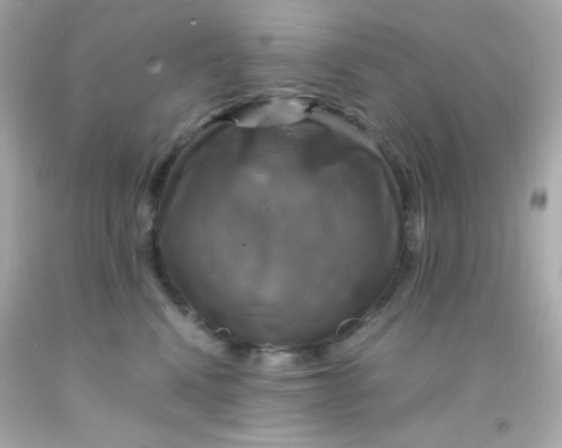 X0000091500472200709061926