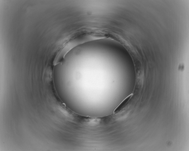 X0000091500474200709061926