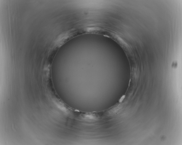 X0000091500475200709061926