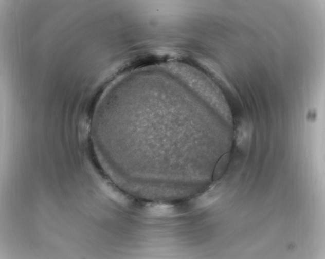 X0000091500476200709061926