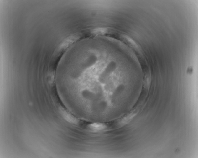 X0000091500477200709061926