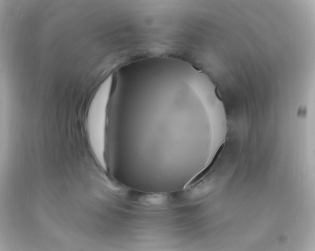 X0000091500479200709061926