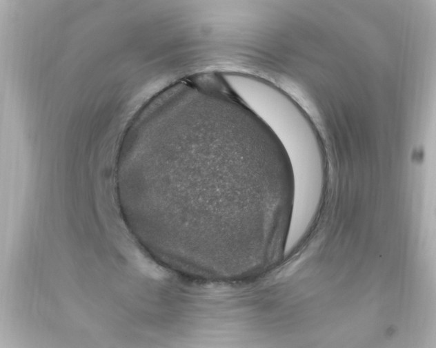 X0000091500481200709061925