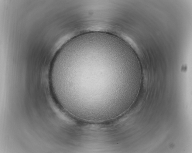 X0000091500482200709061925