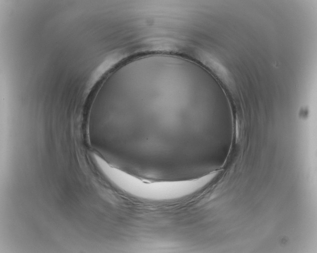 X0000091500483200709061925