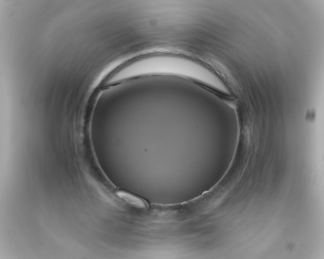 X0000091500484200709061925