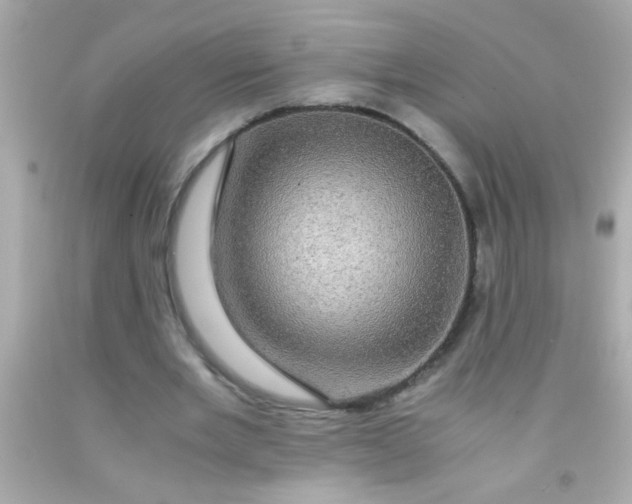 X0000091500485200709061925