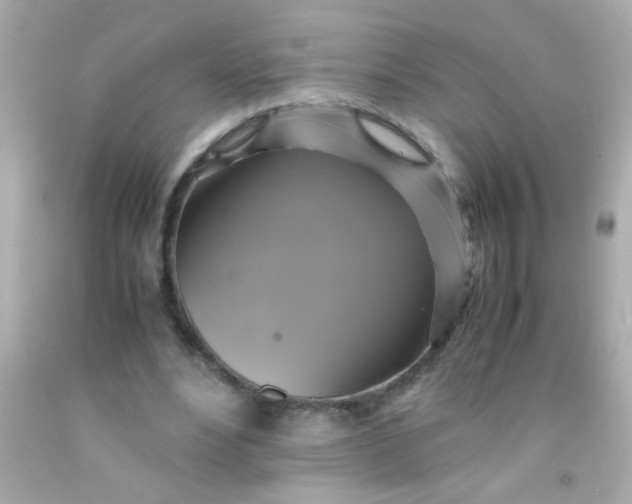 X0000091500488200709061925