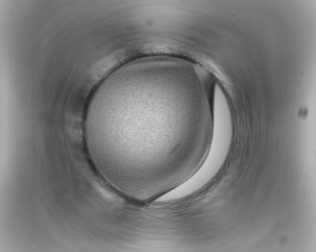 X0000091500489200709061925