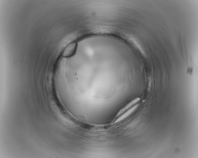 X0000091500491200709061925