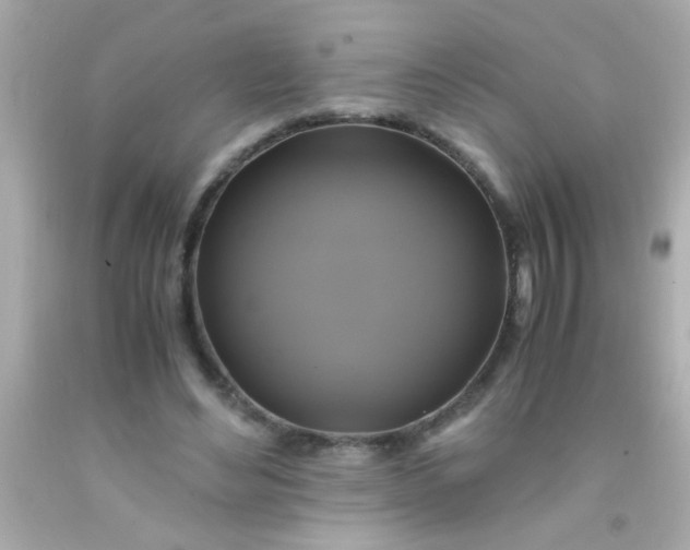 X0000091500492200709061925