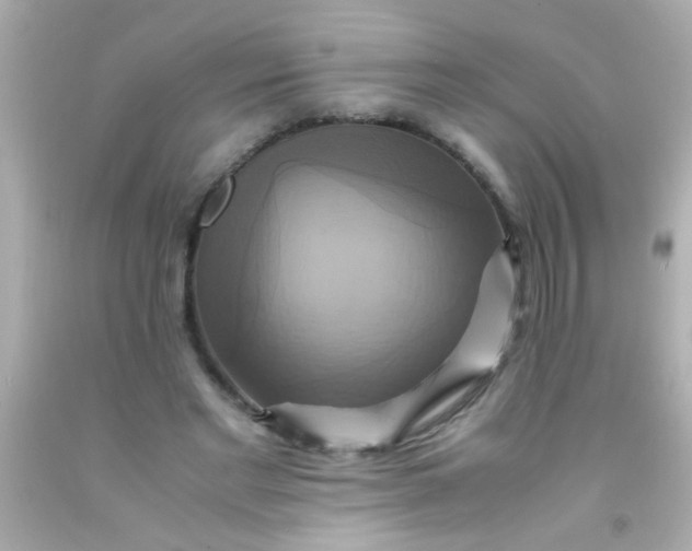 X0000091500493200709061925