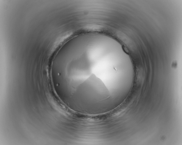 X0000091500494200709061925