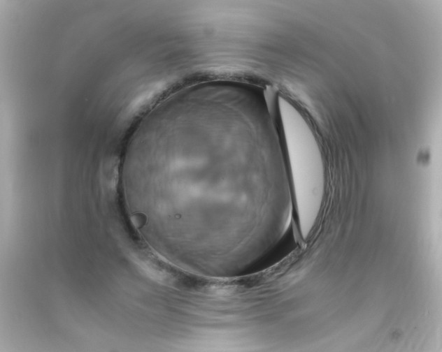 X0000091500495200709061925