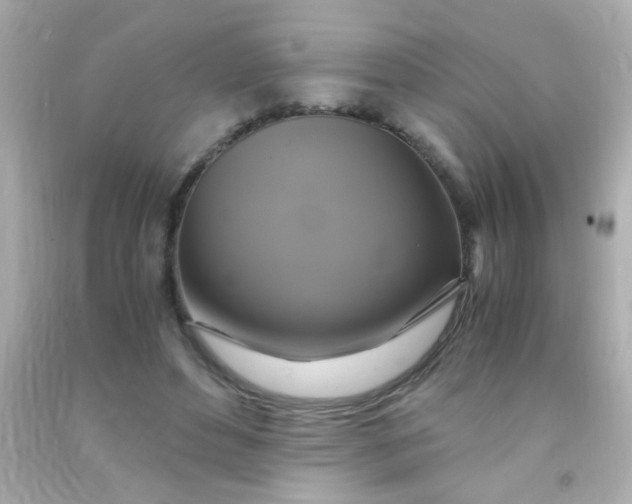 X0000091500496200709061925