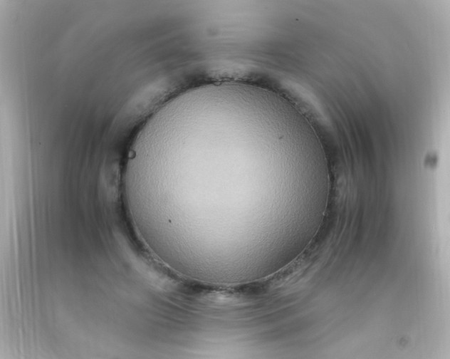 X0000091500498200709061925