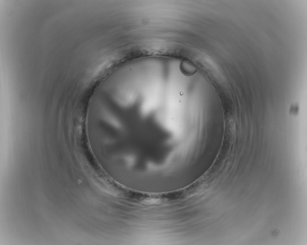 X0000091500499200709061925