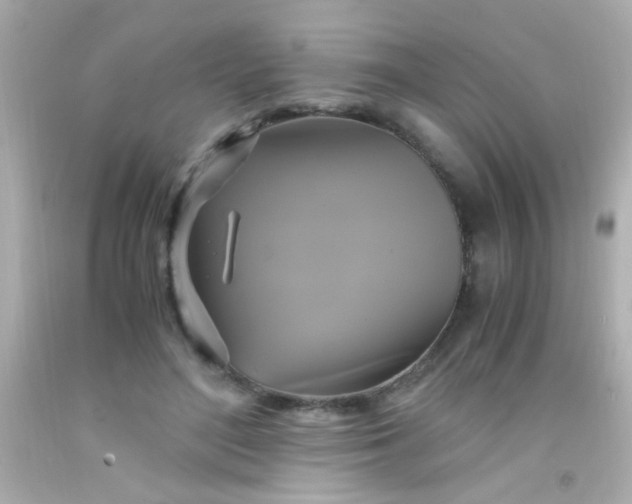 X0000091500500200709061925