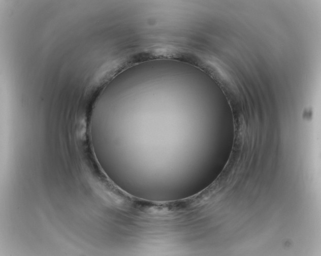 X0000091500502200709061925