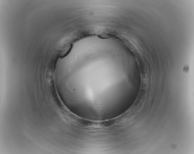 X0000091500503200709061925