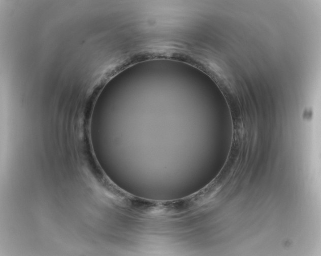 X0000091500504200709061925