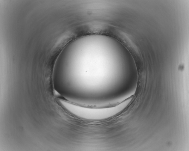 X0000091500505200709061925