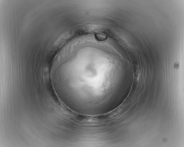 X0000091500506200709061925