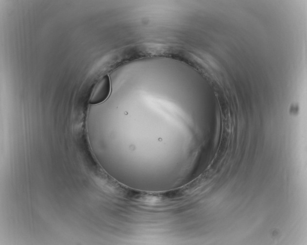 X0000091500507200709061925