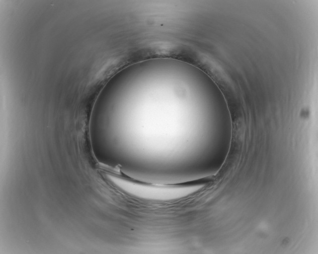 X0000091500509200709061925