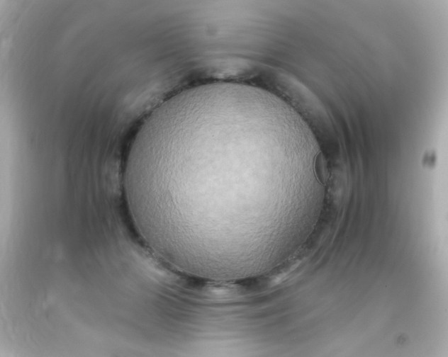 X0000091500510200709061925