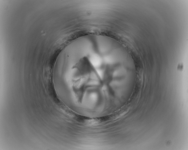 X0000091500511200709061925